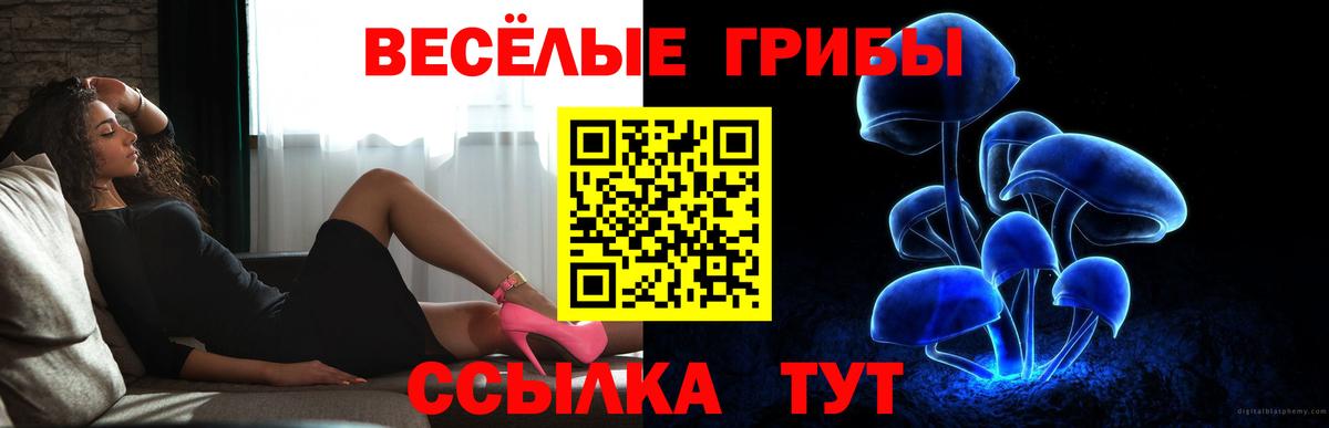 Галлюциногенные грибы мухоморы Норильск